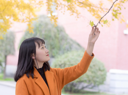 在菲律宾办理的旅行证可以直接使用吗？旅行证回国需要办理哪些手续？